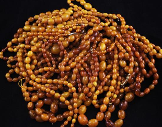 Four single strand graduated oval yellow amber bead necklaces, 23in et infra.